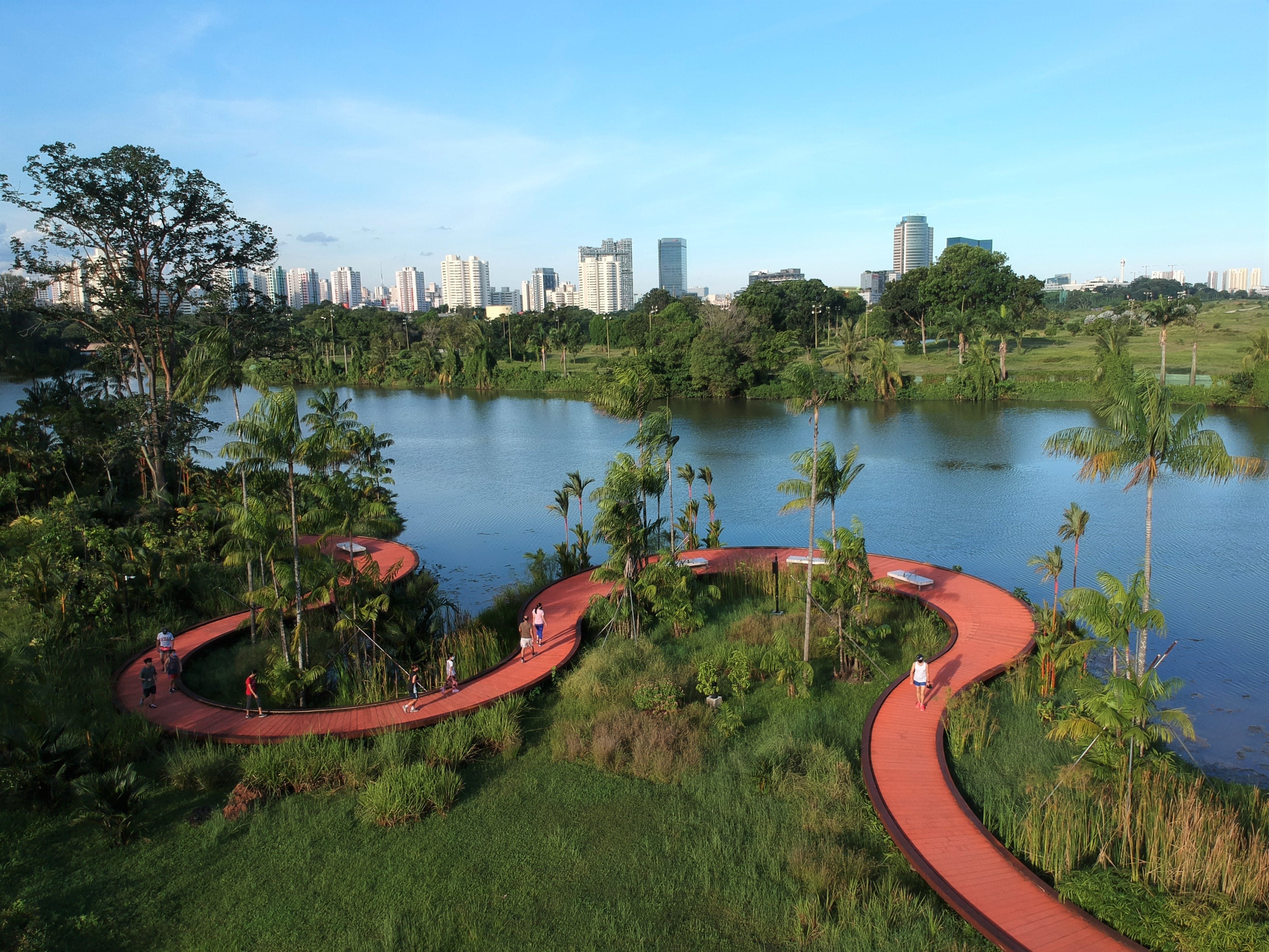 Rasau Walk boardwalk at Jurong Lake Gardens